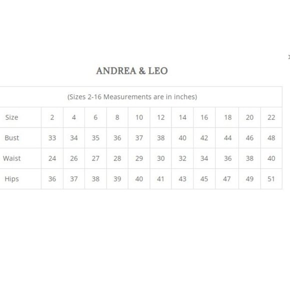 NEW MIDI STRAPLESS BABY'S BREATH EMBROIDERY GOWN WITH PUFF SLEEVES AL A1197 - Picture 3 of 7